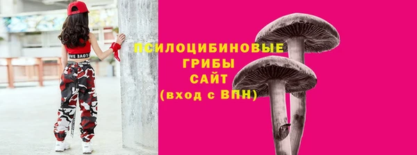 амф Михайловка