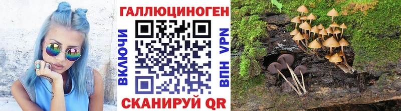 Псилоцибиновые грибы мухоморы  наркота  Гдов 