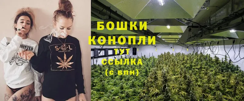 как найти закладки  Гдов  KRAKEN ссылки  Бошки Шишки Ganja 